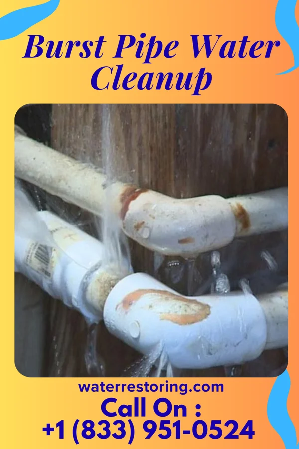 Burst Pipe Water Cleanup in Andover, IL
